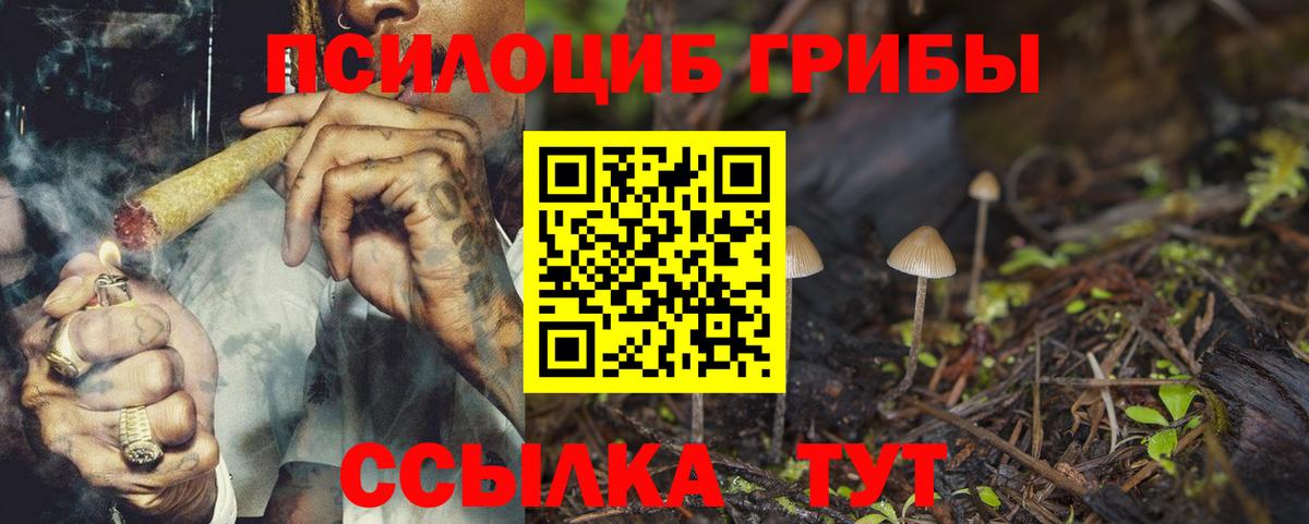 Галлюциногенные грибы мицелий  Вход с VPN  Северобайкальск 